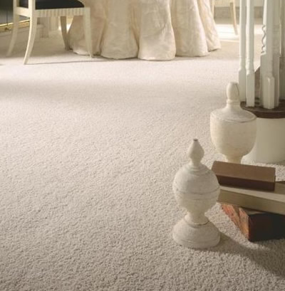carpet cleaning home floor