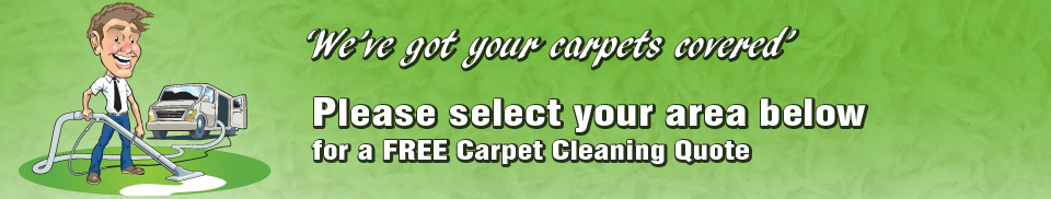 clean carpet header