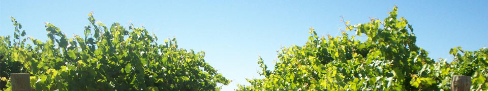 Mildura Vic Australia