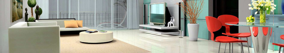 Modern Home Itnerior with Carpet Flooring